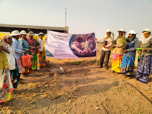 Each Tree, a Step Forward: Nutanix's Agroforest CSR Initiative – Planting