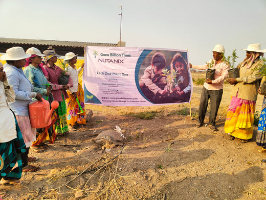 Each Tree, a Step Forward: Nutanix's Agroforest CSR Initiative – Planting