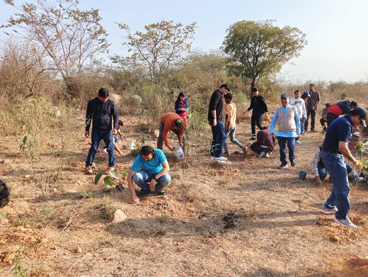 Grow Billon Trees - Carbon Neutral Meetings – Planting