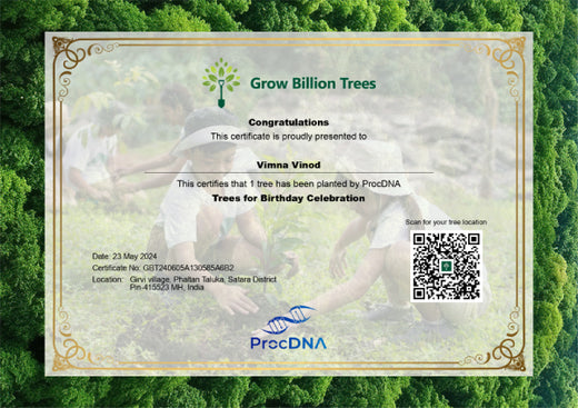 Birthday Blooms: ProcDNA’s Sustainable Gifting in Agroforestry – Planting