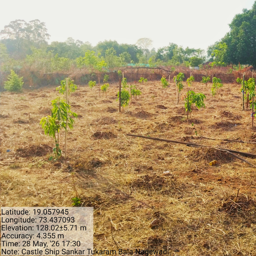 Beyond the Waves: Castle Ships’ Agroforestry Drive for Climate Action – 1 year