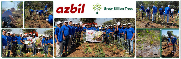 Together We Grow: Azbil India’s Employee-Led Urban Forest Project