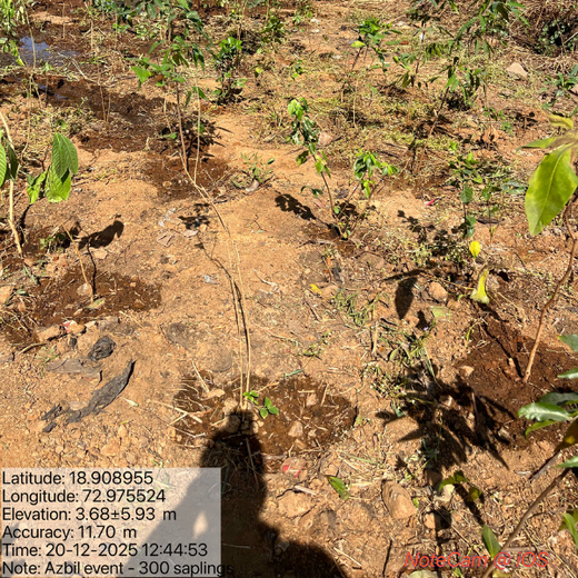 Together We Grow: Azbil India’s Employee-Led Urban Forest Project – 6 months