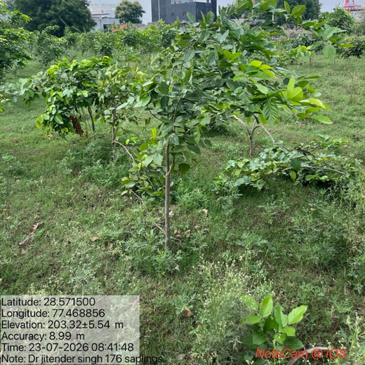 Dr. Jitendra Singh Forest: Planting Seeds of Leadership and Sustainability in Noida – 1 year
