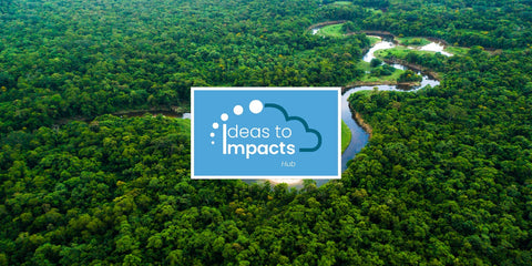 Cultivating Innovation: Ideas to Impacts Hub Plants Trees for D2C Innovators