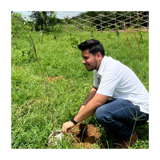 Empowering Green Growth: NCR Voyix's Employee-Driven Urban Forest – Planting