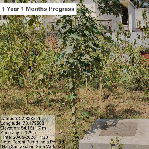 Planting Progress: Peroni Pumps’ Green CSR Drive – 6 months