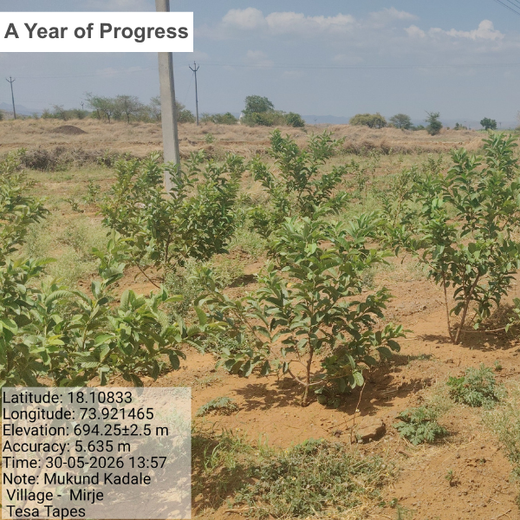 Bonding with Nature: tesa Tapes' Carbon-Conscious Celebration – 2 years