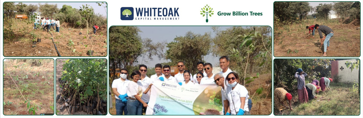 Growing Green Futures: WhiteOak Capital’s Urban Forest Initiative