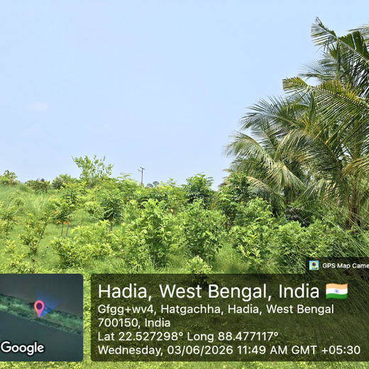 Alliance Clubs Dist. 101: World Environment Day Initiative – 2 years