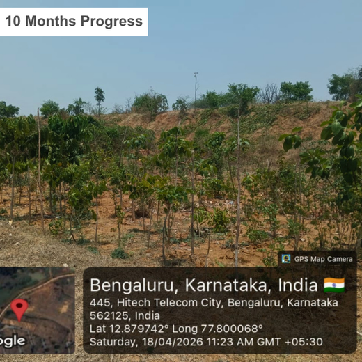 Healing the Planet: Availity India Cultivates a Greener Tomorrow – 2 years