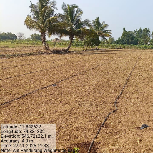 BAGIC’s ESG Initiative: Tree Plantation through Agroforestry – Planting