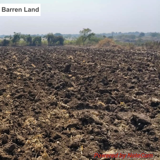 BAGIC’s ESG Initiative: Tree Plantation through Agroforestry – Planting