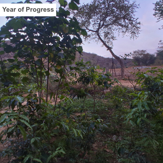 Buds of Change: A Tribute to Earth by Shweta and Friends – 1 year