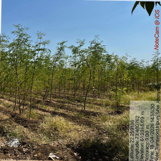 Eco-Growth, Rural Prosperity: Transworld’s CSR Initiative – 2 years