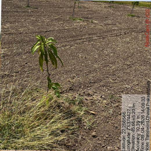 Eco-Growth, Rural Prosperity: Transworld’s CSR Initiative – 2 years