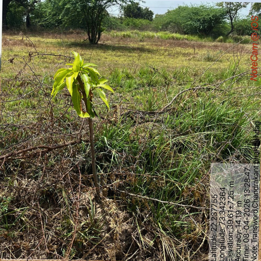Eco-Growth, Rural Prosperity: Transworld’s CSR Initiative – 2 years