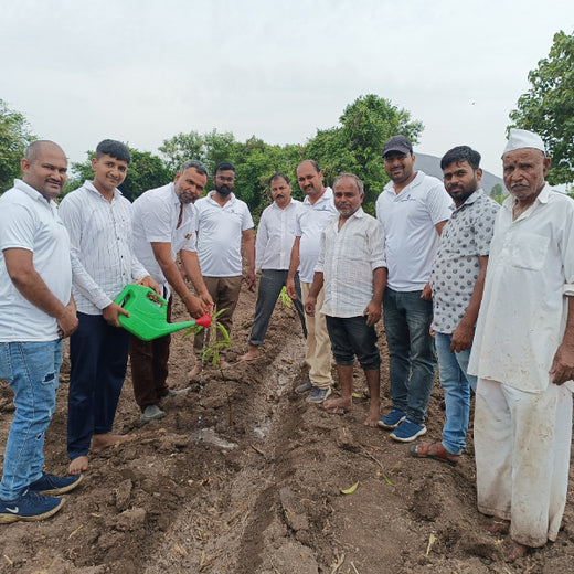 "Connecting Teams to Nature: Gensol Bengaluru’s Agroforest Commitment" – Planting