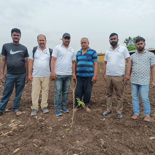 "Connecting Teams to Nature: Gensol Bengaluru’s Agroforest Commitment" – Planting