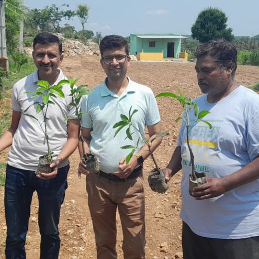 "Connecting Teams to Nature: Gensol Bengaluru’s Agroforest Commitment" – Planting