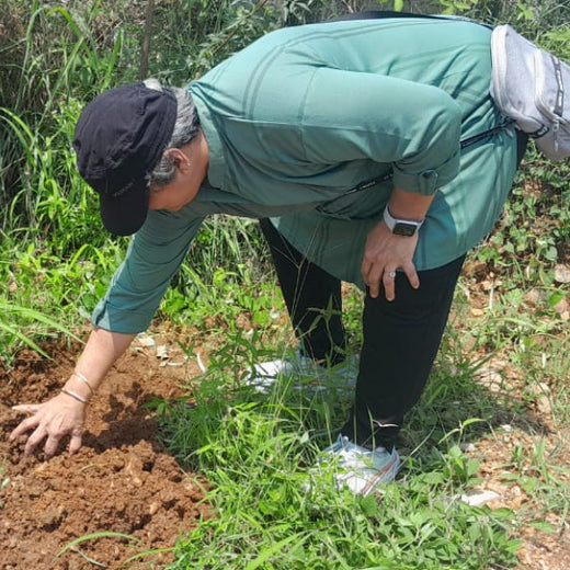 "Connecting Teams to Nature: Gensol Bengaluru’s Agroforest Commitment" – Planting