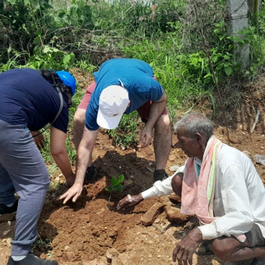 "Connecting Teams to Nature: Gensol Bengaluru’s Agroforest Commitment" – Planting
