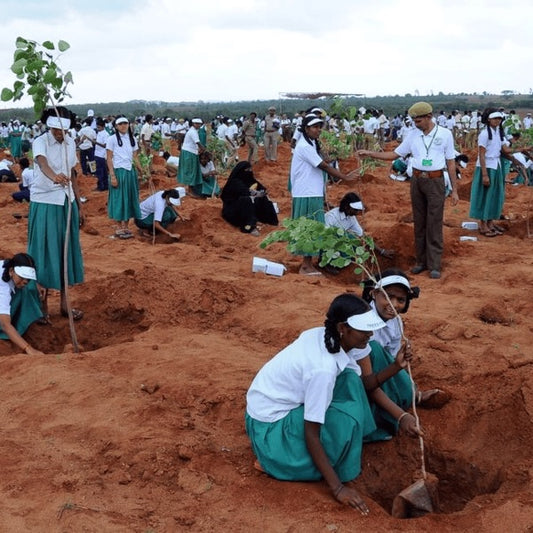 Trees for Earth Day (22nd Apr)