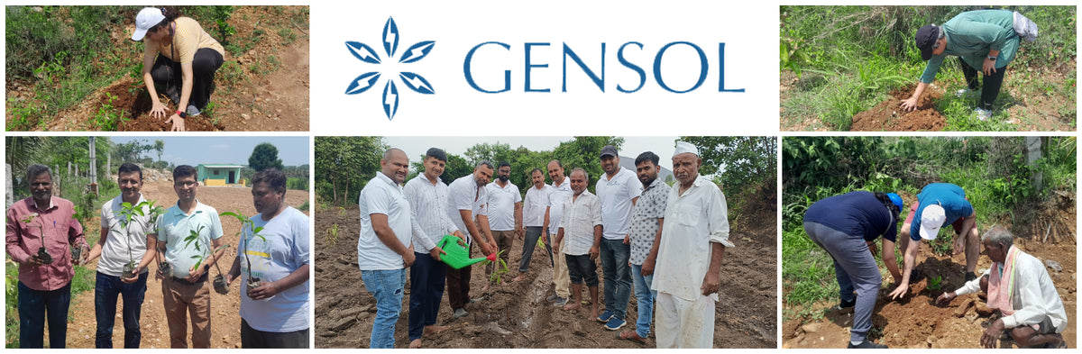 "Connecting Teams to Nature: Gensol Bengaluru’s Agroforest Commitment"