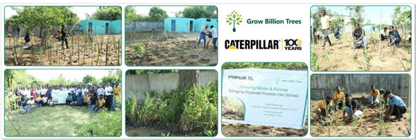 Caterpillar's Legacy: A Learning forest in Koppur Thiruvallur