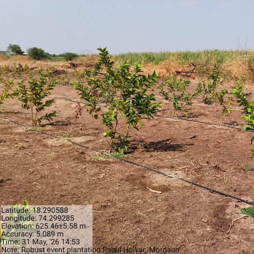 Eco-Impact in Action: VYMO’s Agroforest Plantation Drive – 6 months