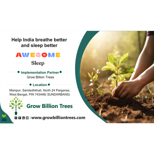 Awesome Sleep’s Mangroves for Air, Life & Better Sleep – Planting