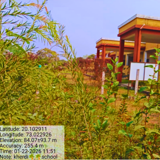 Silox India Miyawaki Tree Plantation School Initiative: Growing Green Futures – 2 years