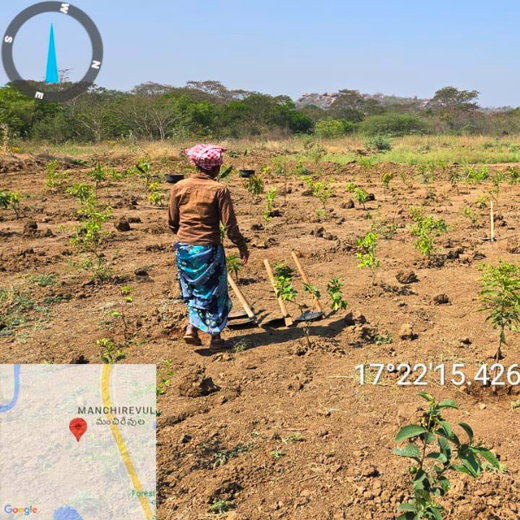 ABSYZ Consulting: Employees Uniting for a Sustainable Future – 1 year
