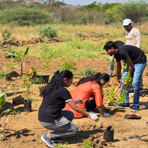ABSYZ Consulting: Employees Uniting for a Sustainable Future – 6 months