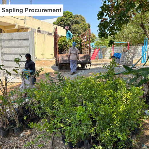 ABSYZ Consulting: Employees Uniting for a Sustainable Future – Planting