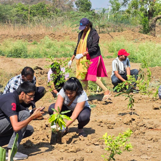 ABSYZ Consulting: Employees Uniting for a Sustainable Future – 6 months