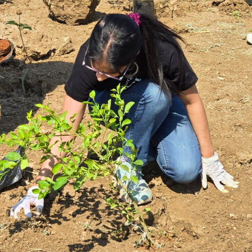 ABSYZ Consulting: Employees Uniting for a Sustainable Future – 6 months
