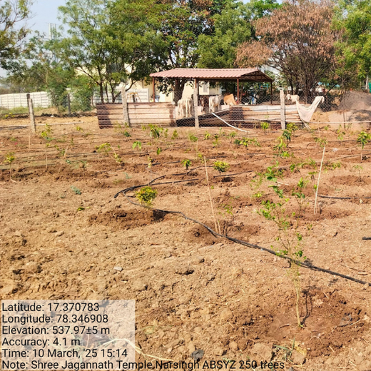 ABSYZ Consulting: Employees Uniting for a Sustainable Future – 1 year