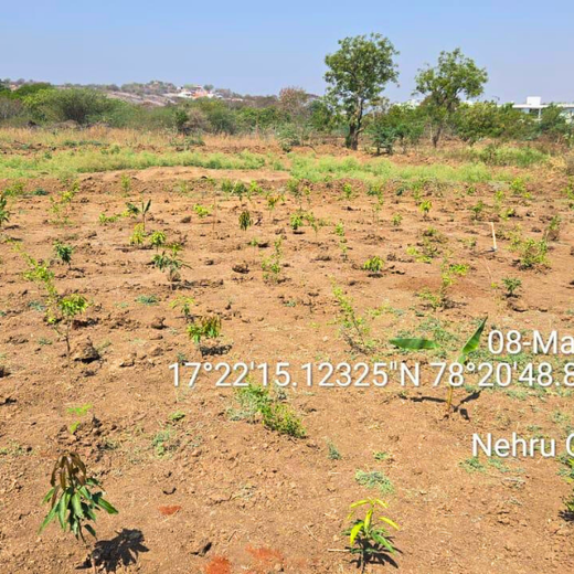 ABSYZ Consulting: Employees Uniting for a Sustainable Future – 1 year