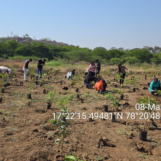 ABSYZ Consulting: Employees Uniting for a Sustainable Future – 1 year