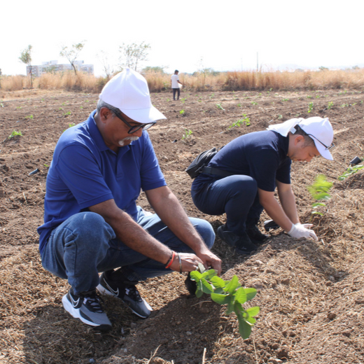 Azbil’s Agroforestry Action: Empowering Agroforests for a Sustainable Future – Planting