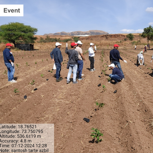 Azbil’s Agroforestry Action: Empowering Agroforests for a Sustainable Future – Planting