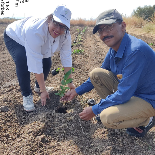 Azbil’s Agroforestry Action: Empowering Agroforests for a Sustainable Future – Planting