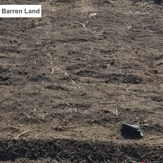 Azbil’s Agroforestry Action: Empowering Agroforests for a Sustainable Future – Planting