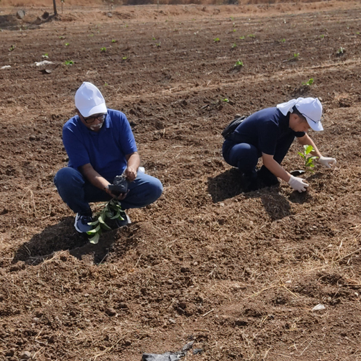 Azbil’s Agroforestry Action: Empowering Agroforests for a Sustainable Future – Planting