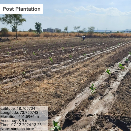 Azbil’s Agroforestry Action: Empowering Agroforests for a Sustainable Future – 6 months