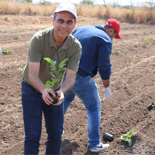 Azbil’s Agroforestry Action: Empowering Agroforests for a Sustainable Future – Planting