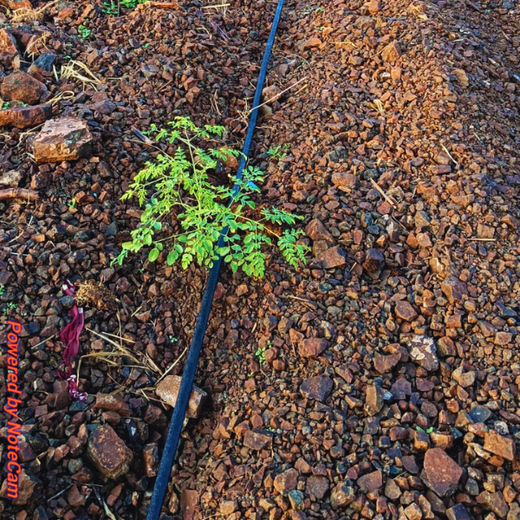 Synergy in Motion: Belden Connect 2026 Sustainability Initiative – 6 months