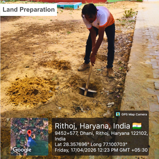A Step Towards a Greener Gurgaon by ib vogt Solar India Pvt Ltd – Planting