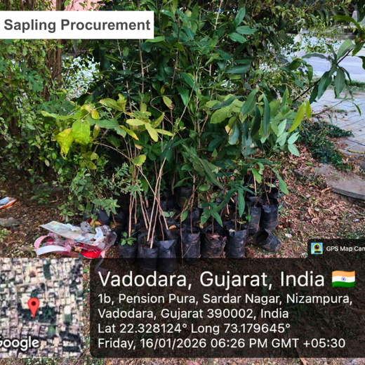 Indusface Private Limited:Securing Digital World,Sustaining the Planet – Planting
